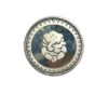 Silver Coins