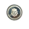 Silver Coins